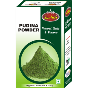 PUDINA POWDER